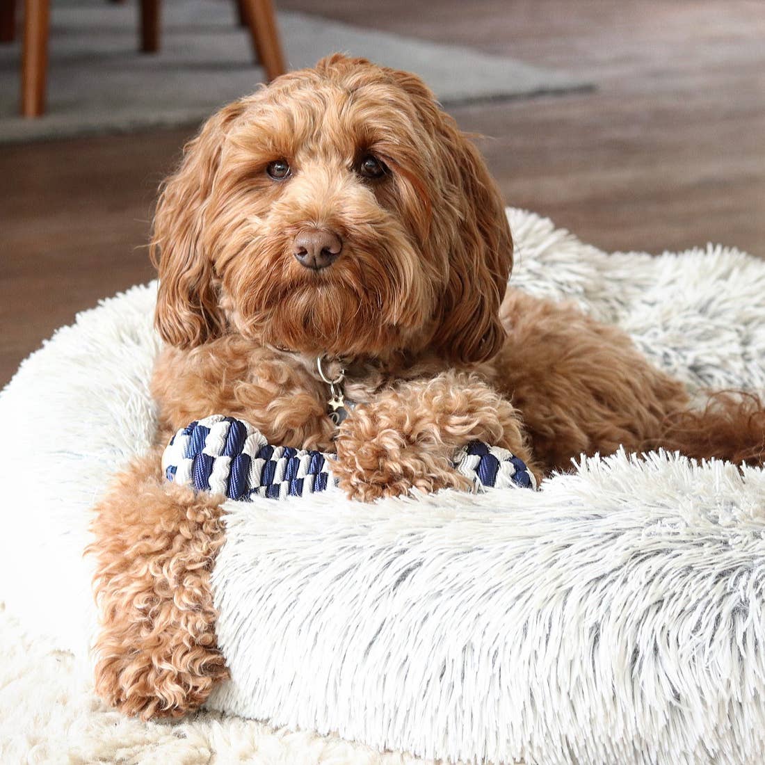 Tall Tails Braided Bone Toy- Navy