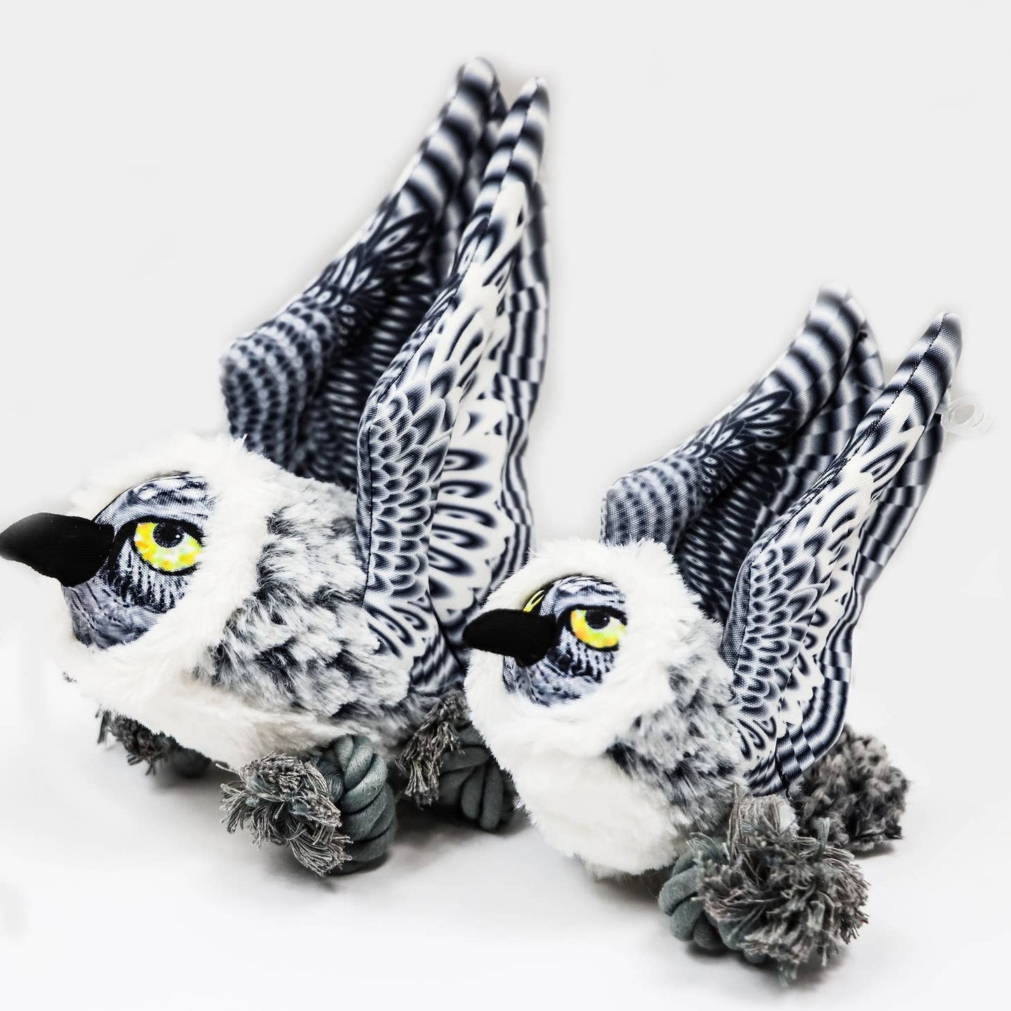 Ballistic Baller - Snowy Owl